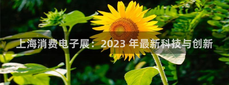 凯发K8天生赢家一触即发官网|上海消费电子展：2023 年最新科技与创新